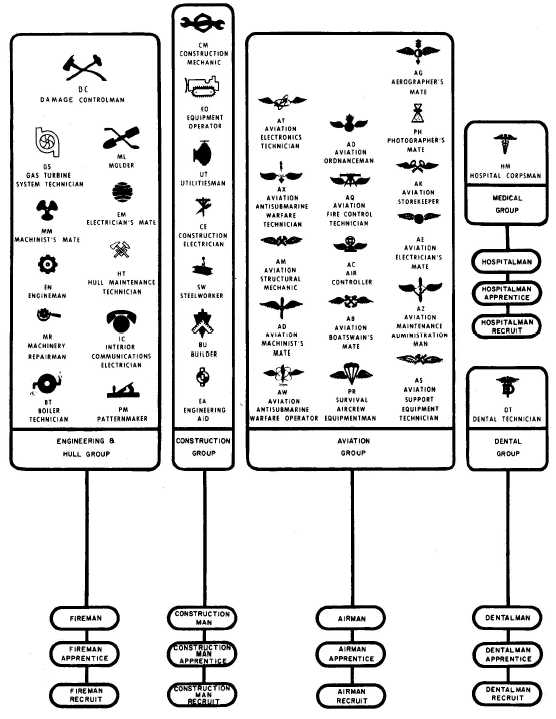 Military Medical Insignia